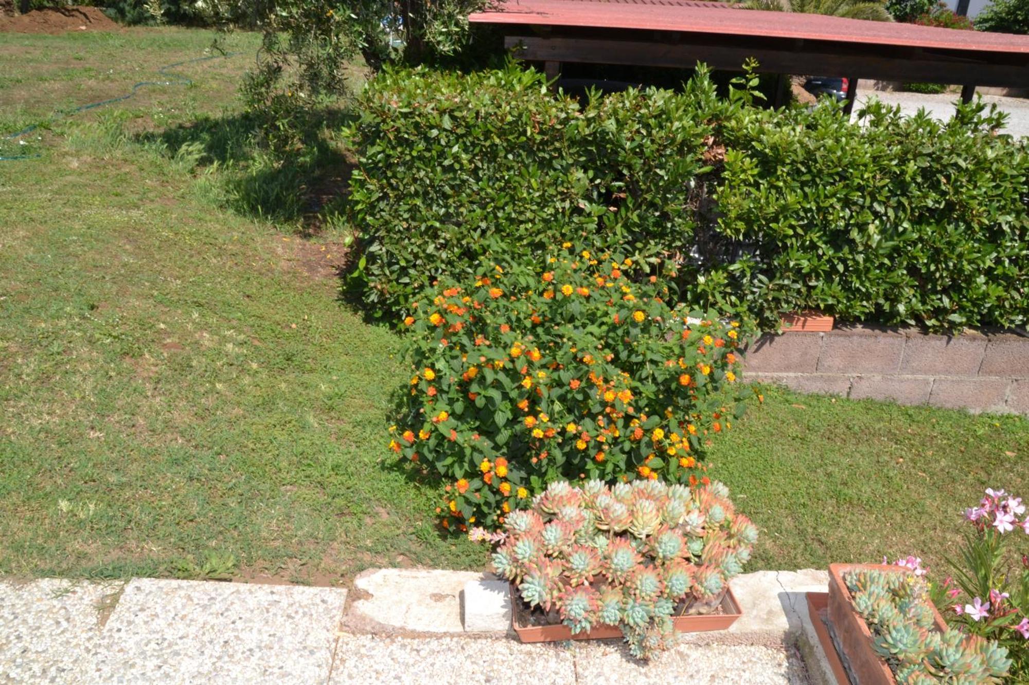 La Mimosa Hotel Bolgheri Bagian luar foto