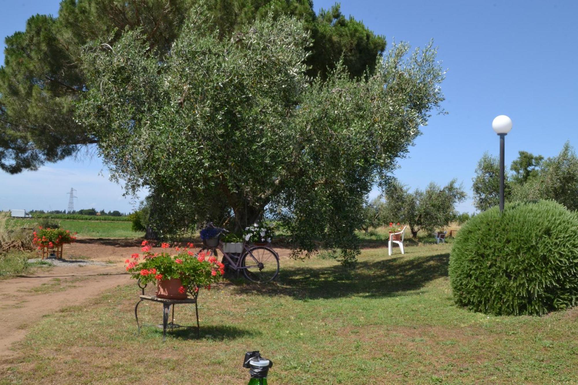 La Mimosa Hotel Bolgheri Bagian luar foto
