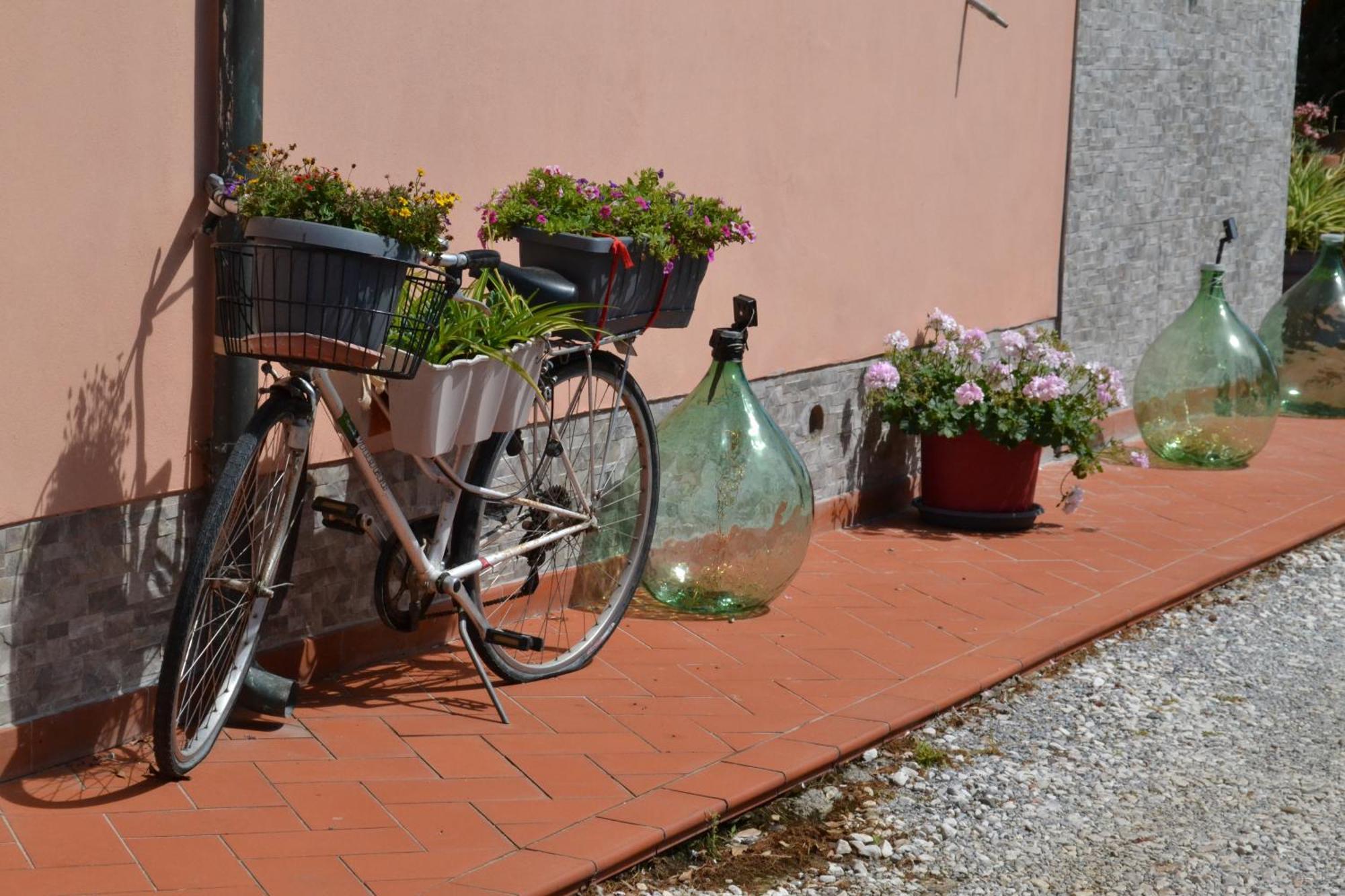 La Mimosa Hotel Bolgheri Bagian luar foto