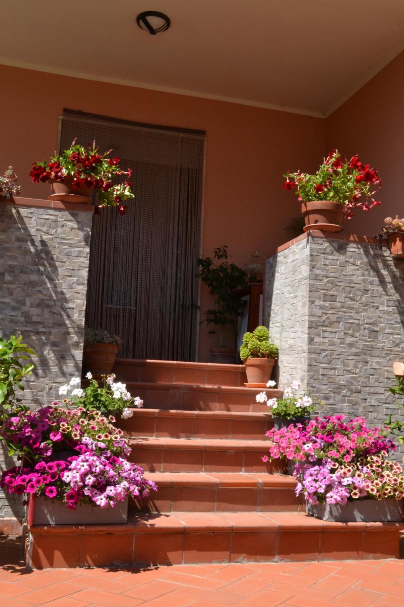 La Mimosa Hotel Bolgheri Bagian luar foto
