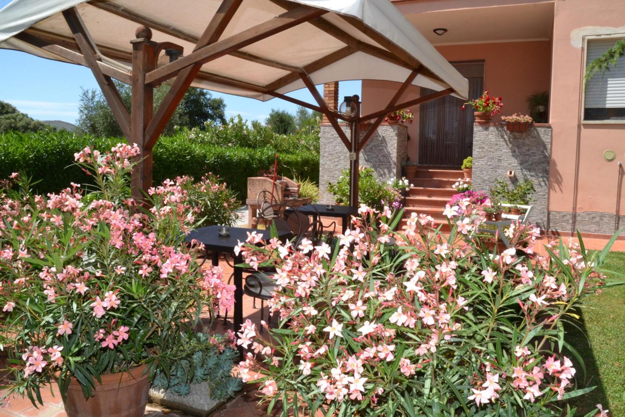 La Mimosa Hotel Bolgheri Bagian luar foto